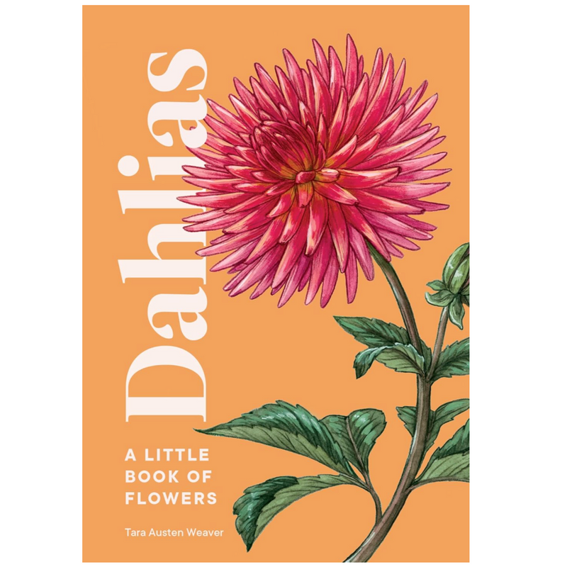 Dahlias: A Little Book of Flowers (Little Book of Natural Wonders) - LOCAL FIXTURE