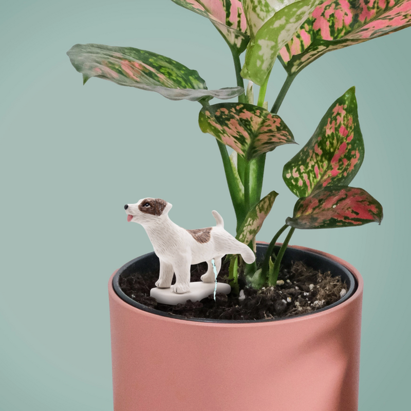 Pee My Plants Dog Watering Decoration