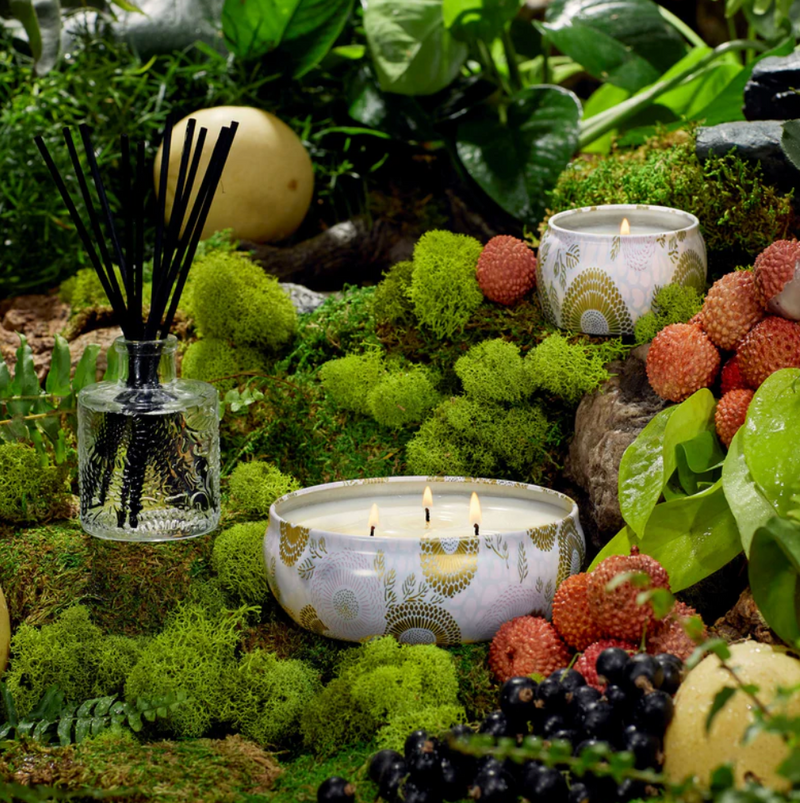 Panjore Lychee 3 Wick Tin Candle