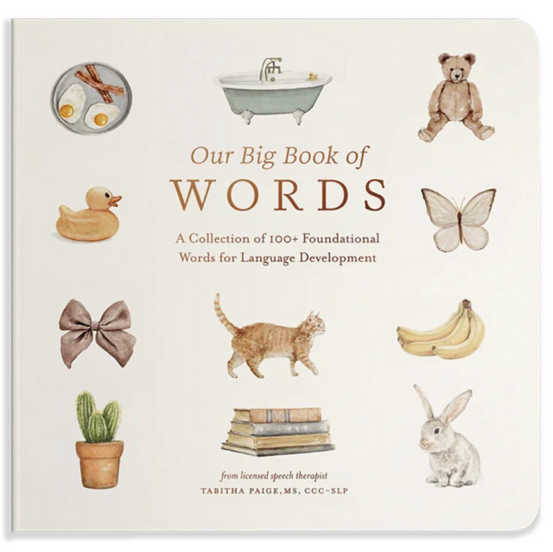 Our Big Book of First Words