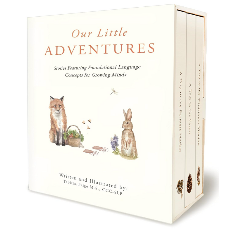 Our Little Adventures: Stories Featuring Foundational Language Concepts for Growing Minds