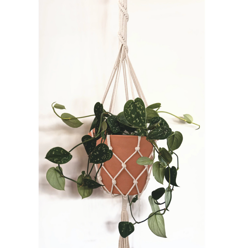 Hand-Woven Cotton Macrame Plant Hanger