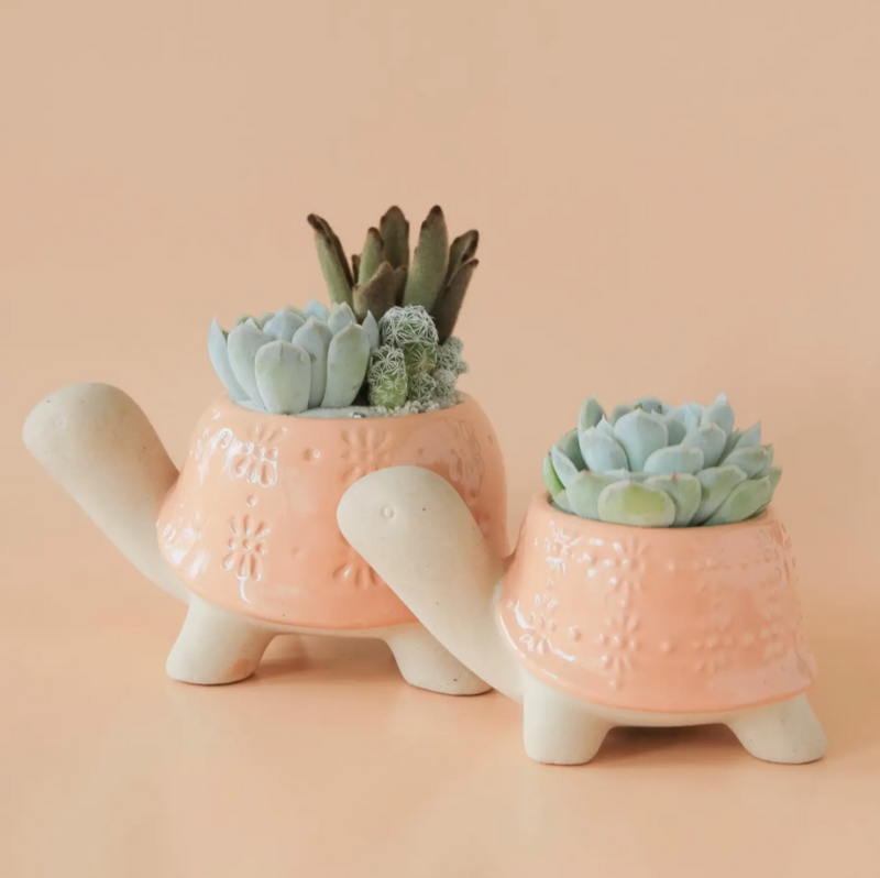 Turtle Planter | Sunset