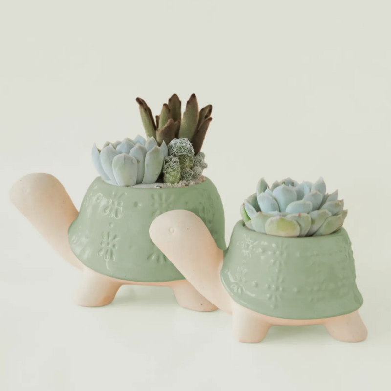 Turtle Planter | Lagoon