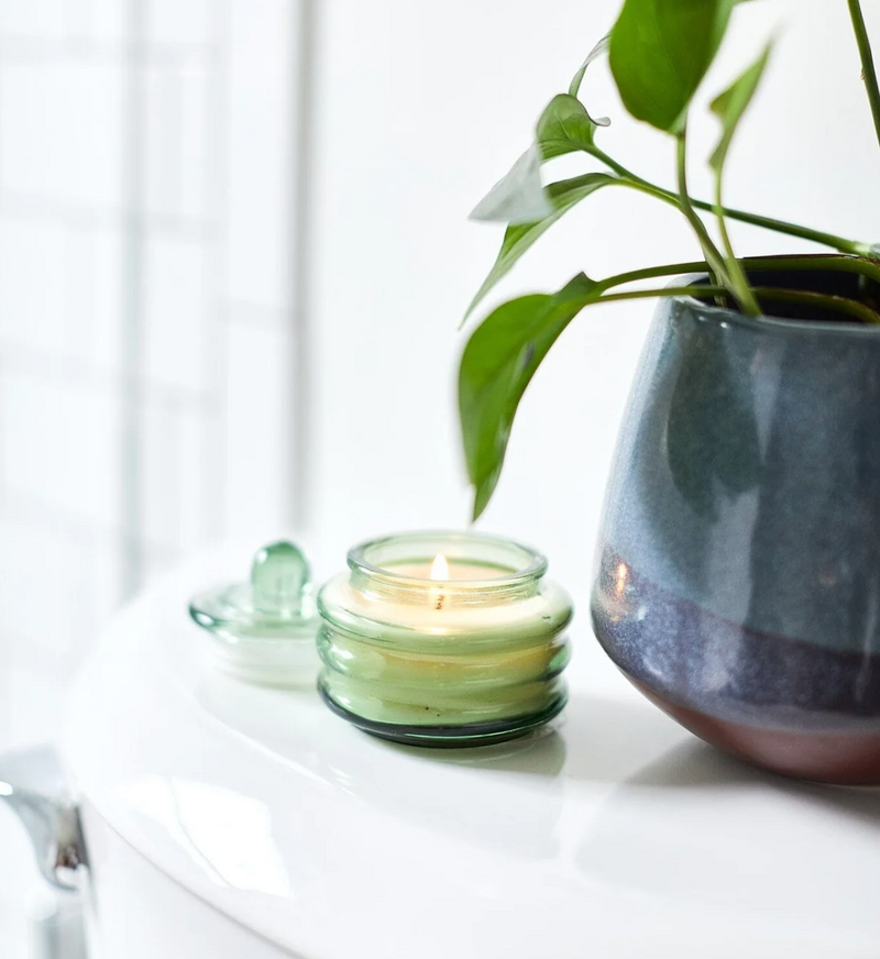 Paddywax Beam 3 oz Candle | Misted Lime