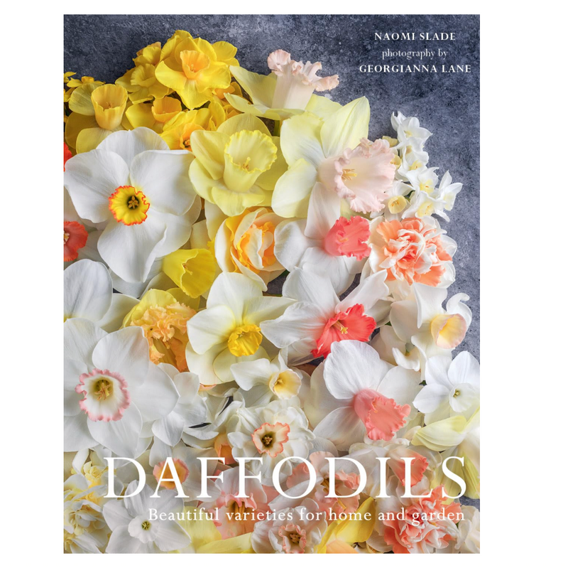 Daffodils: Beautiful Varieties for Home and Garden