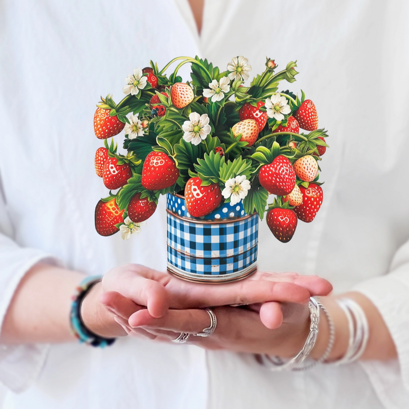 FreshCut Paper | Mini Strawberry Blossom