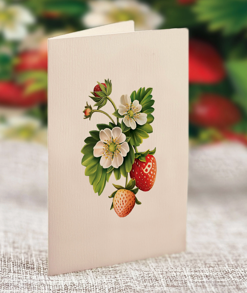 FreshCut Paper | Mini Strawberry Blossom