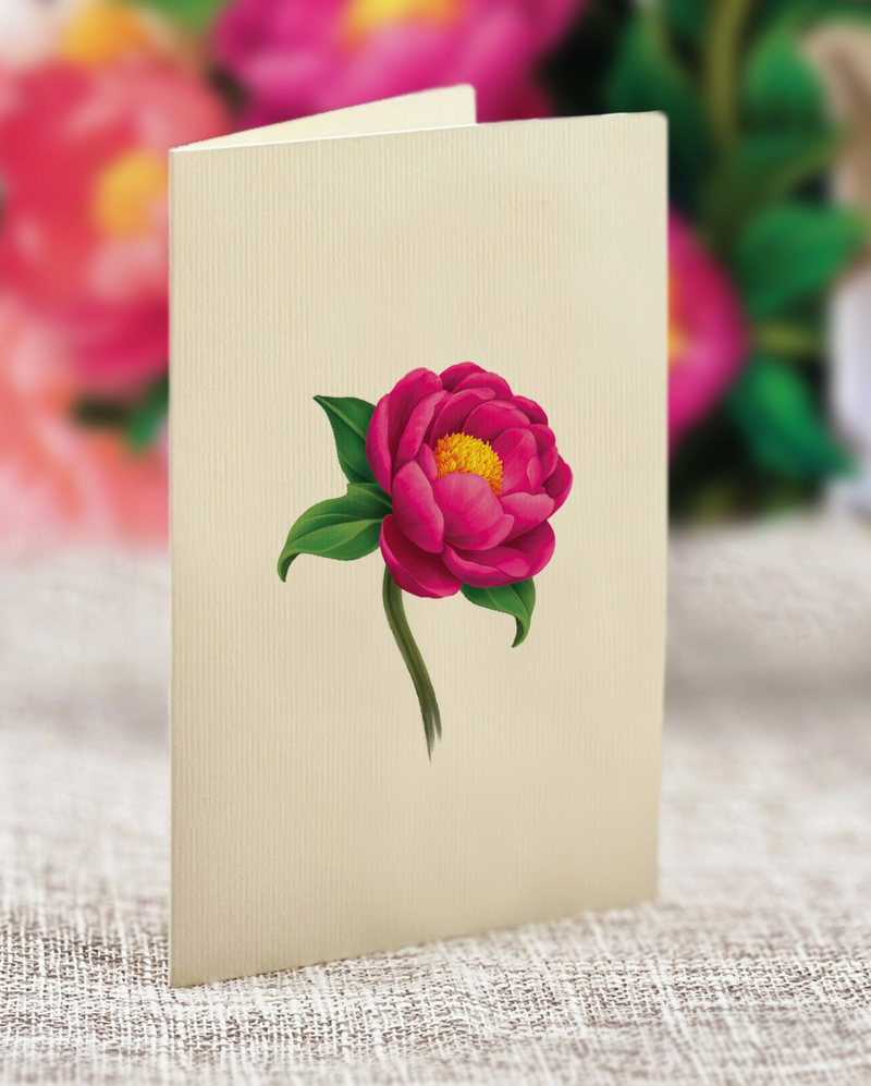 FreshCut Paper | Mini Peony Paradise