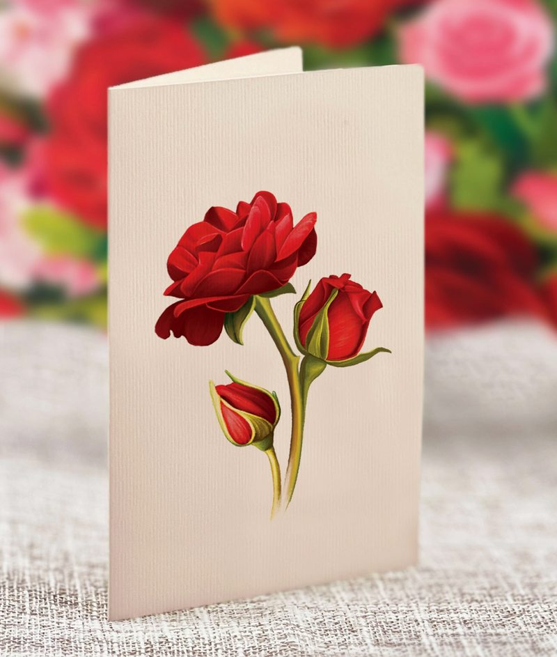 FreshCut Paper | Blooming Roses