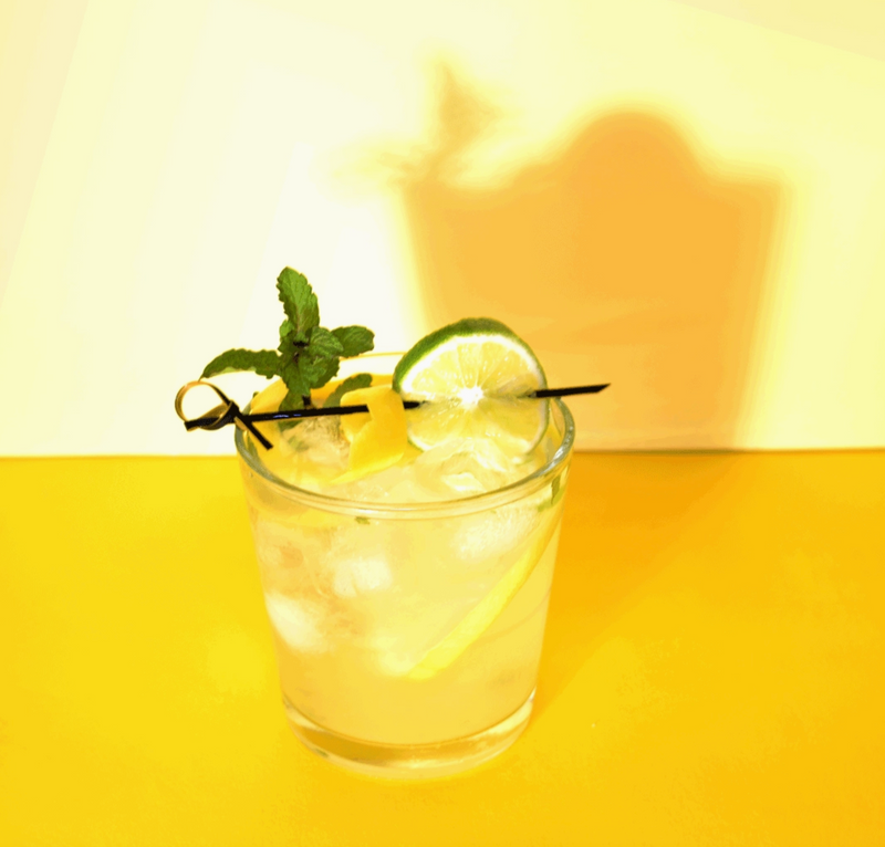 Jar Cocktail Kit Spiked Lemonade | Lemonade Infusion Kit