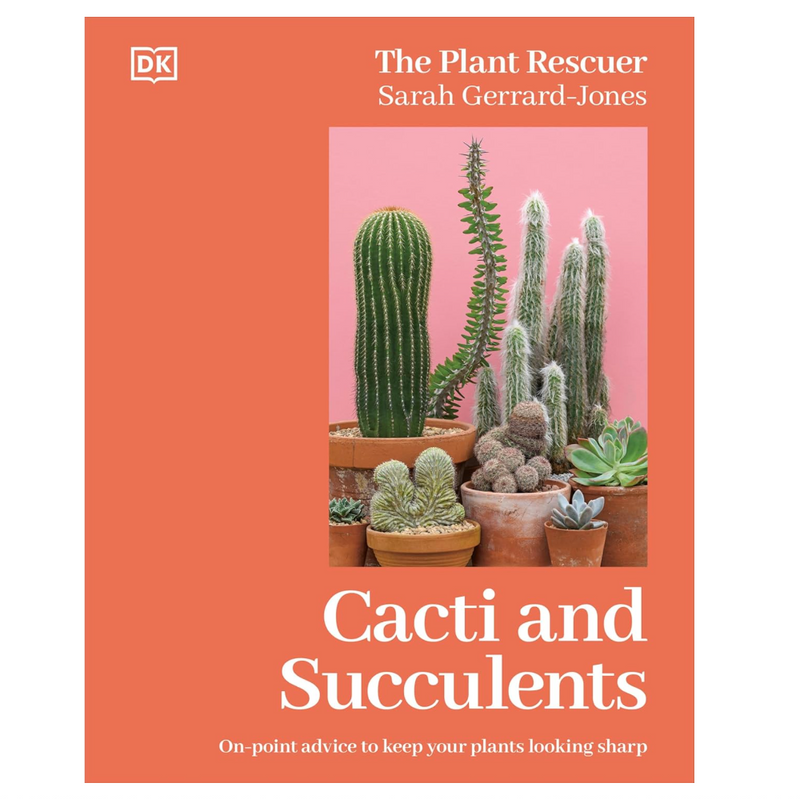 Cacti and Succulents: On-point Advice to Keep Your Plants Looking Sharp