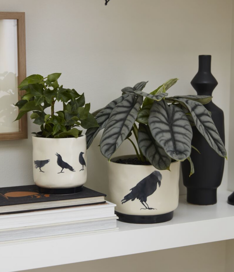 Corvus Pot Collection