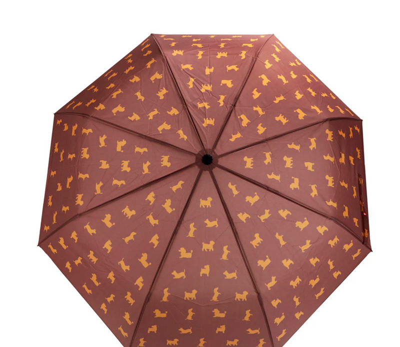 Puppymbrella Umbrella