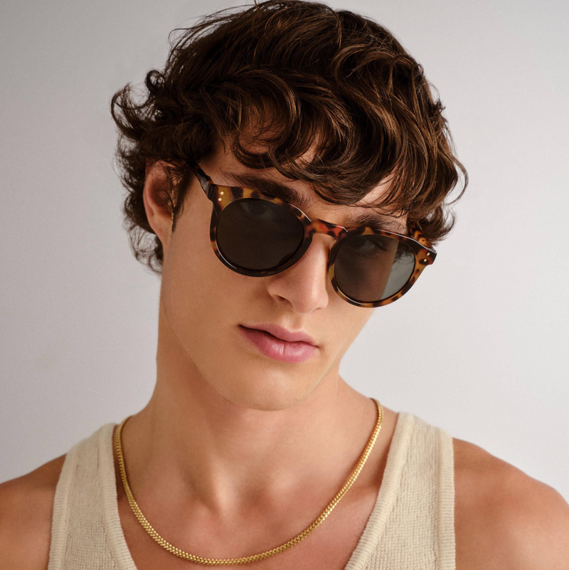 Nucleus | Dark Tortoise