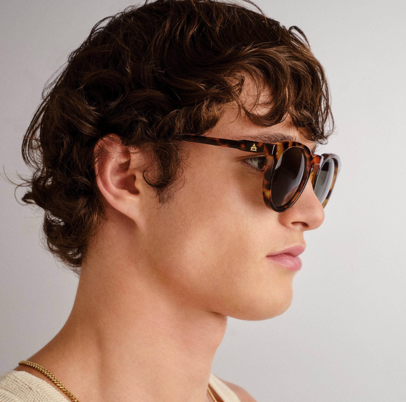 Nucleus | Dark Tortoise