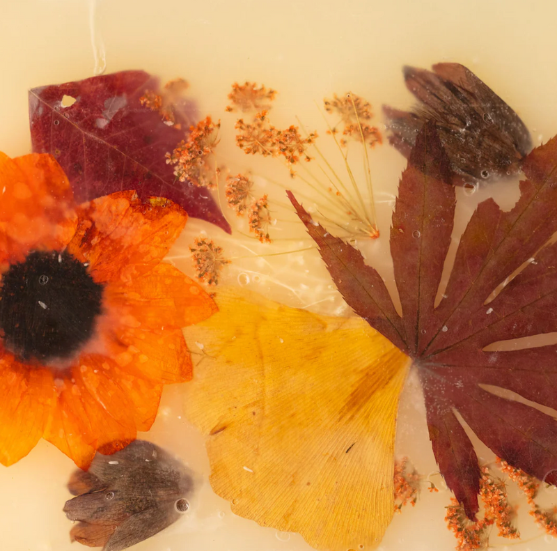 Small Round Botanical Candle - Harvest Pumpkin