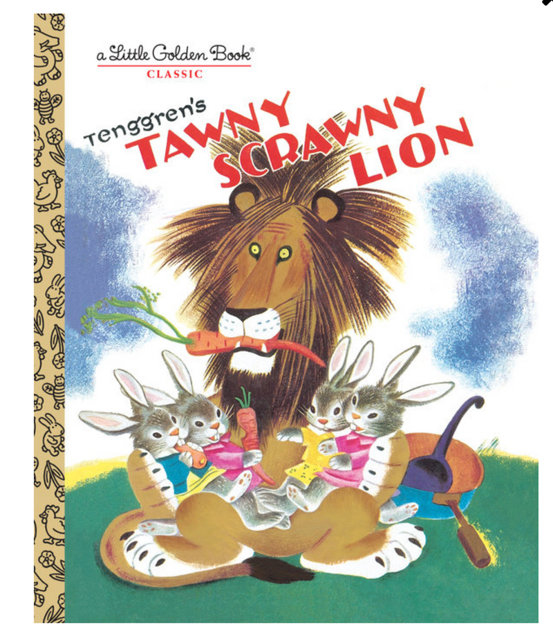 Tawny Scrawny Lion