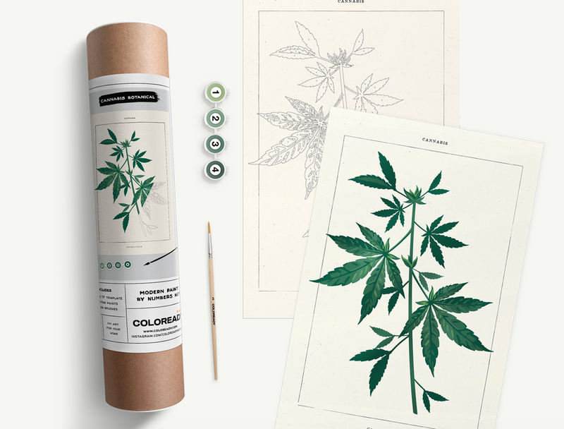 Cannabis Botanical Kit