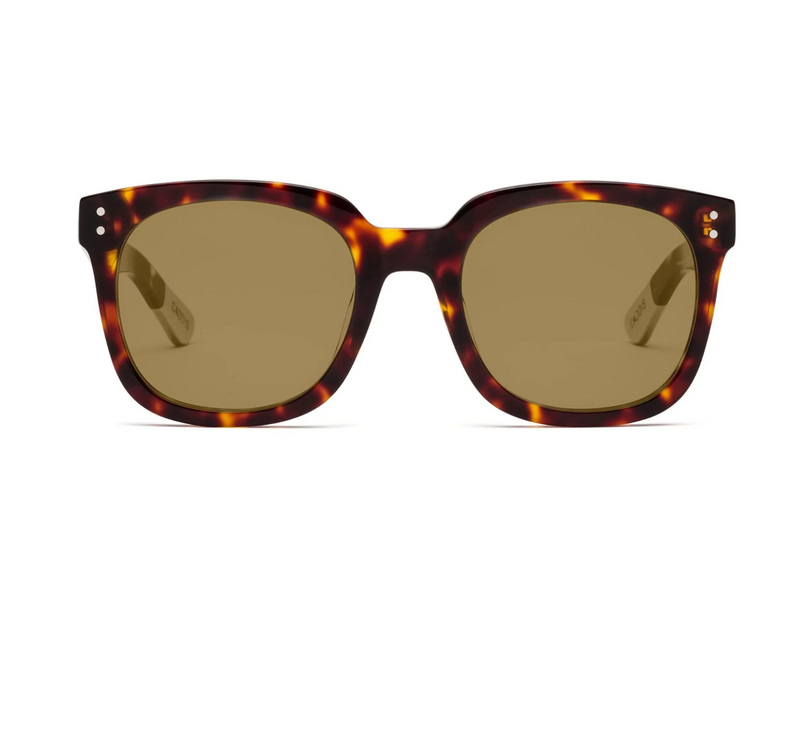 Jockamo Sunglasses | Turtle - Polarized Bronze