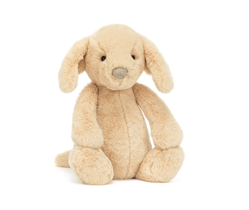 Bashful Luxe Puppy Orlando