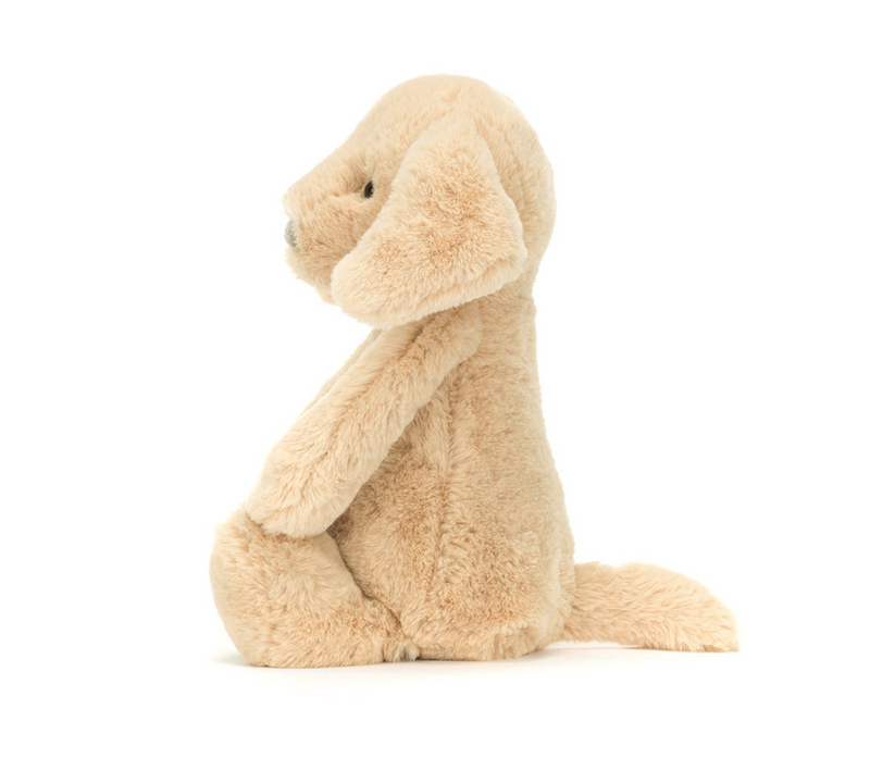 Bashful Luxe Puppy Orlando