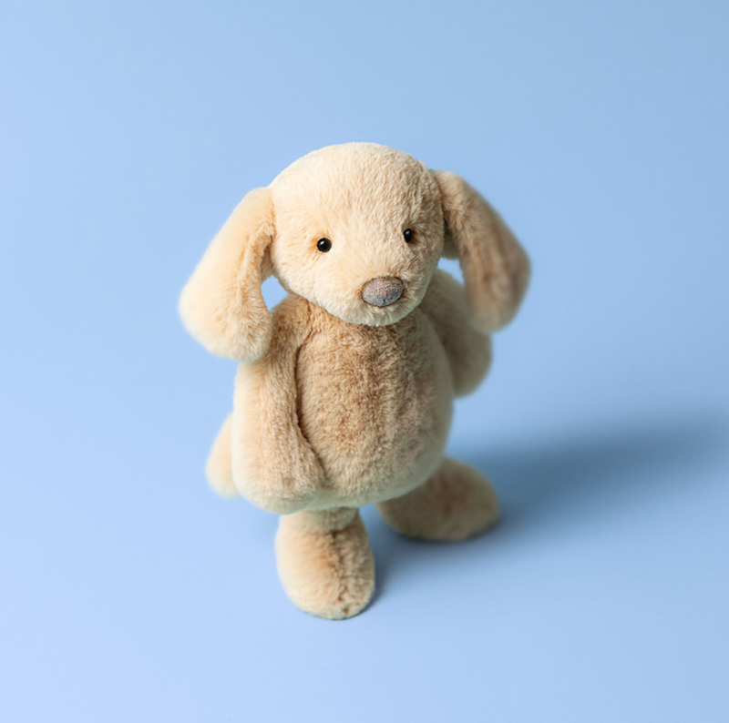 Bashful Luxe Puppy Orlando