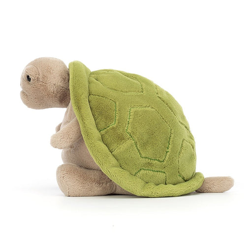 Timmy Turtle - LOCAL FIXTURE