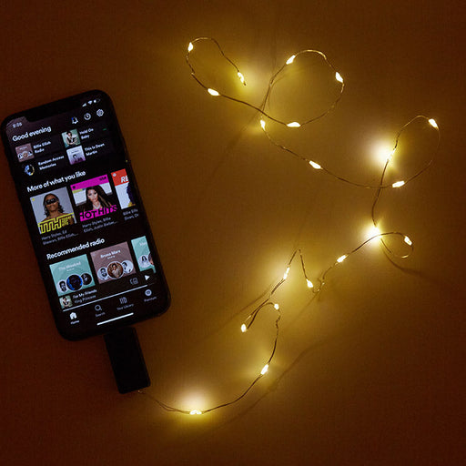 Sound Activated String Lights