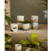 ACCENT DECOR POT Mojave Pot Collection