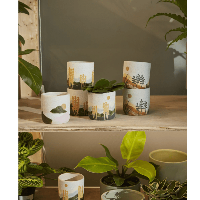 ACCENT DECOR POT Mojave Pot Collection