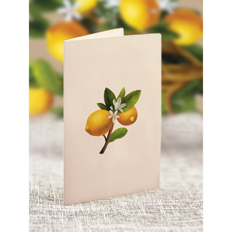 Mini Lemon Blossom Tree