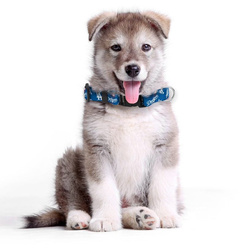 MLB Los Angeles Dodgers Team Pet Collar: Large