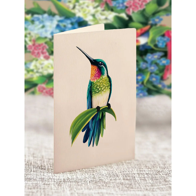 Mini Hummingbird Oasis