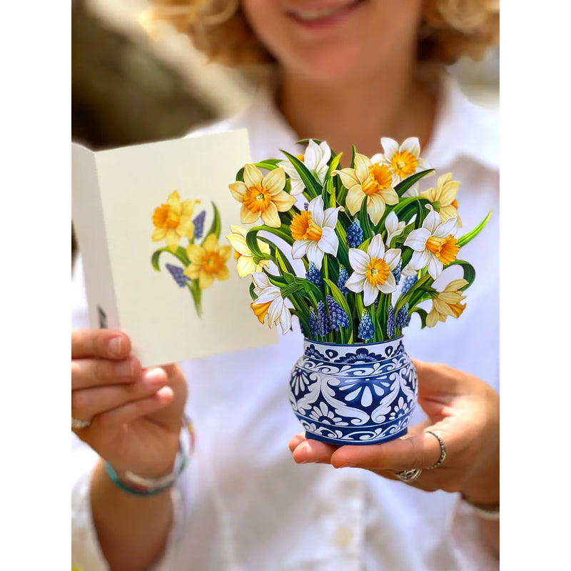 Mini English Daffodils