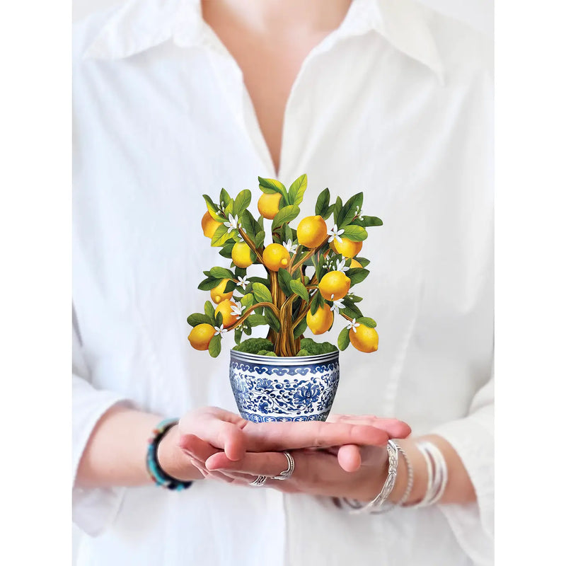 Mini Lemon Blossom Tree