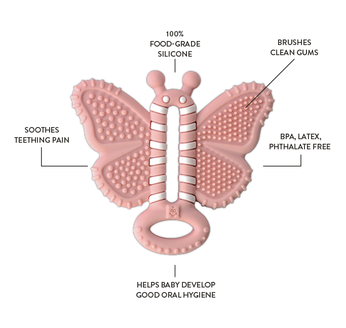 Butterfly Brush features