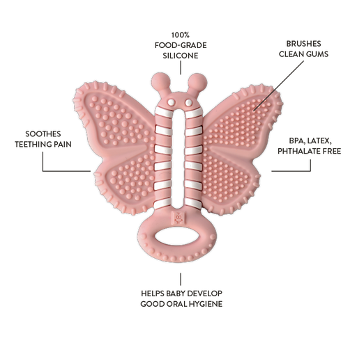 Butterfly Brush features