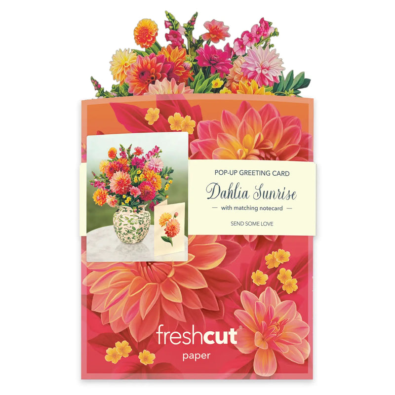Mini Sunrise Dahlia