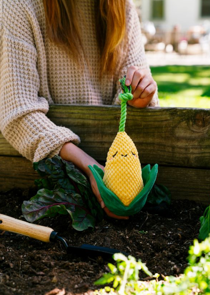 Crinkle Crops - Corn