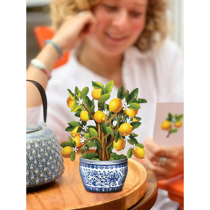 Mini Lemon Blossom Tree