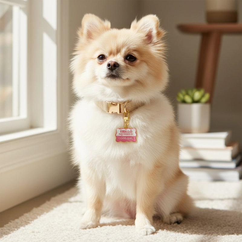 Pawfect Collar Charm
