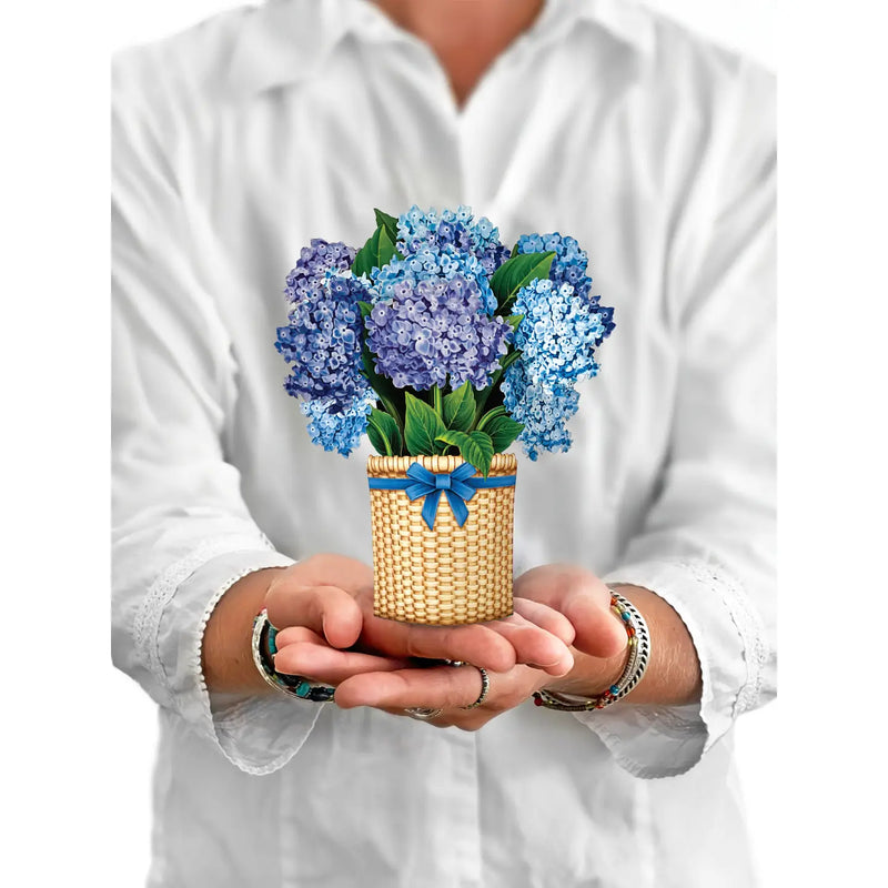 Mini Nantucket Hydrangeas