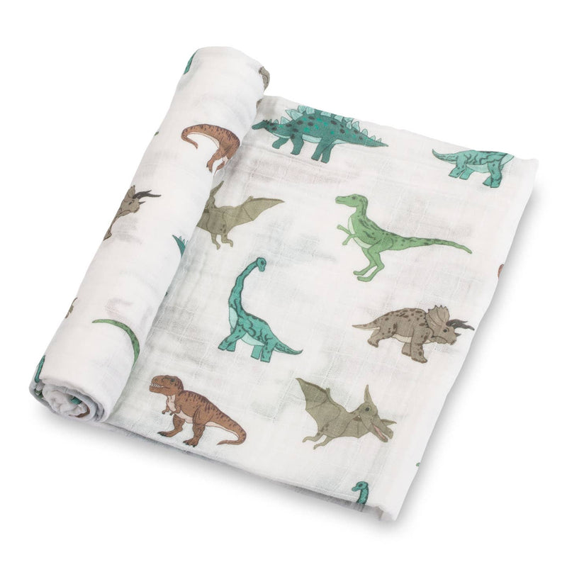 Have A T-Rexcellent Day Dinosaur Baby Swaddle Blanket