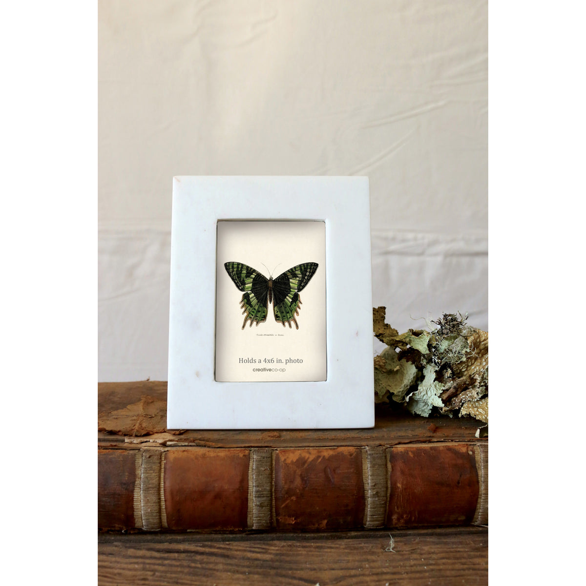 Marble Photo Frame — LOCAL FIXTURE