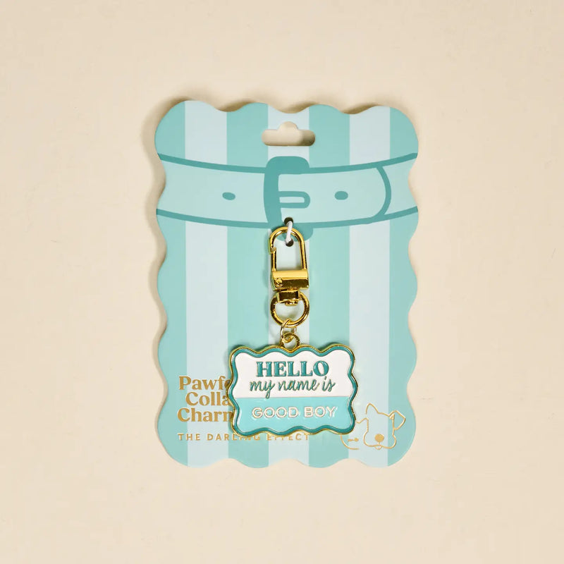 Pawfect Collar Charm