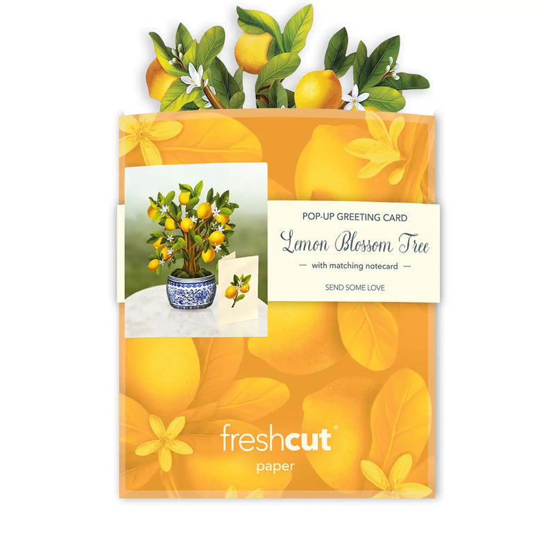 Mini Lemon Blossom Tree