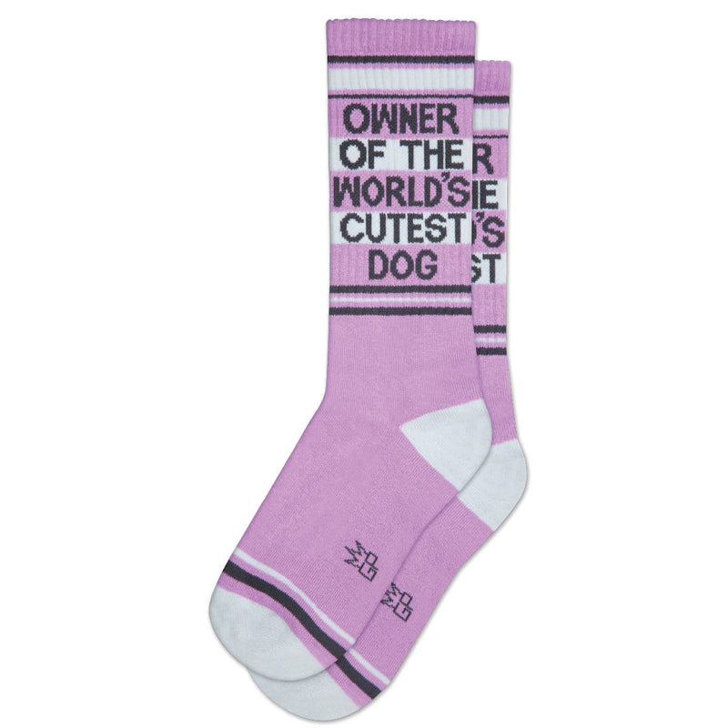 Owner of the World's Cutest Dog Gym Crew Socks