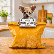 Chihuahua, Tan chip clip