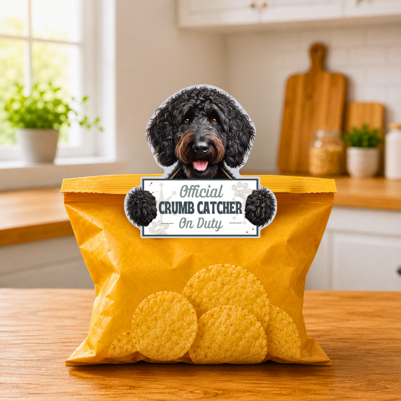 Labradoodle, Black chip clip